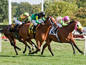 The Pizza Man wins the Tex's Zing Handicap.