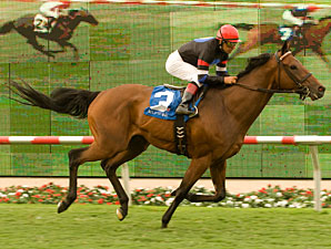The Usual Q. T. wins the 2010 Eddie Read.