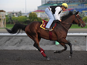 The Usual Q. T. at Woodbine on September 18, 2010.