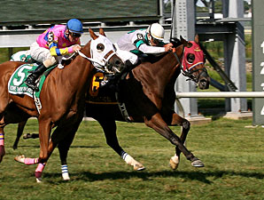 This Ain't No Bull wins the 2013 Marshall Jenney Handicap.