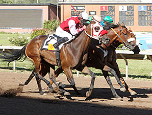 Thunder Agard wins the 2014 Lineage Classic Stakes.