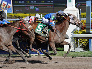 Tiban wins the 2012 Claiming Crown Express.
