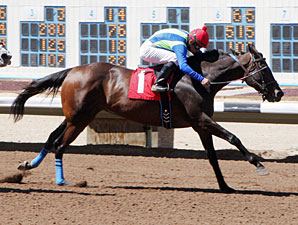 Ticket to Broadway wins the Dr. O. G. Fischer Memorial Handicap.