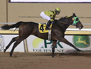 Tickleyourfancy - Allowance win, December 7, 2011.