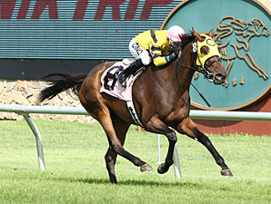 Tickleyourfancy wins the 2012 Princess Elaine Stakes.