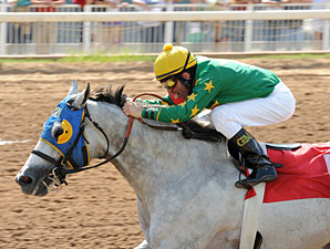 Tidal Volume wins the 2011 Temperance Hill.
