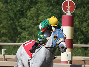Tidal Volume wins the 2011 Temperance Hill.