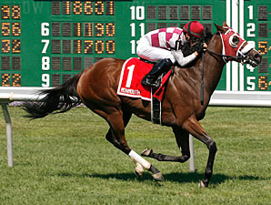 Tiger Cat Lilly wins the 2011 Crank It Up Stakes.