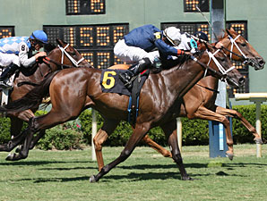 Tiger Girl wins the 2010 Donnie Wilhite Memorial Stakes.