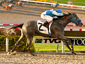 Tilde wins the 2012 C.T.B.A. Stakes.