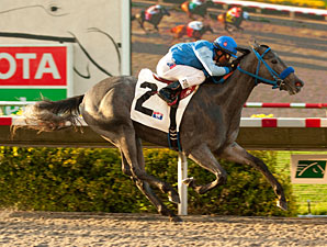 Tilde wins the 2012 C.T.B.A. Stakes.