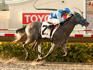 Tilde wins the 2012 C.T.B.A. Stakes.