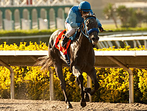 Tilde wins the 2012 Generous Portion Stakes.