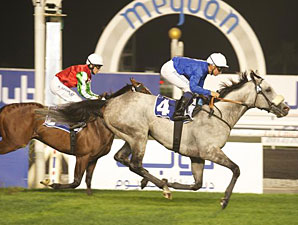 Time Prisoner wins the 2013 Dubal Trophy.