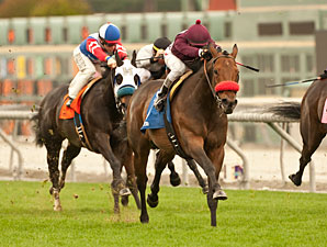 Tiz Flirtatious wins the 2013 Valentine Dancer.