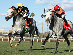 Tiz Gianni wins the 2013 Cotton Fitzsimmons Mile.