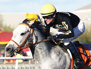 Tiz Gianni wins the 2013 Cotton Fitzsimmons Mile.