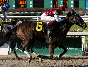 Jockey Shaun Bridgmohan pilots Tizaqueena to victory in the 3rd running of the Allen Lacombe Handicap at Fair Grounds.  No Use Denying with Miguel Mena aboard finished 2nd. 