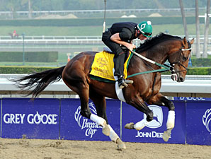To Honor and Serve - Breeders' Cup 2012.