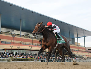 To Honor and Serve wins the 2011 Cigar Mile.