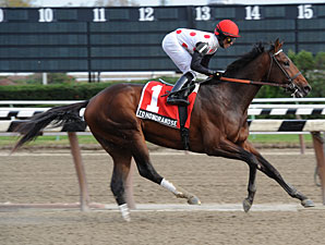 To Honor and Serve wins the 2010 Nashua.