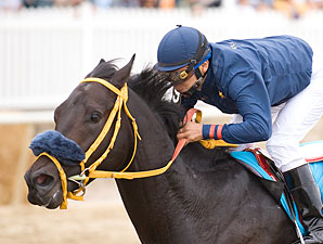 Toboggan Slide wins the 2009 Maryland Million Nursery.