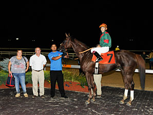 Toby's Corner wins the 2012 Mountainview.