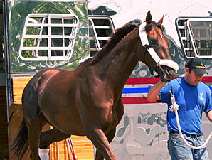 Toby's Corner - Pimlico May 16, 2012. 