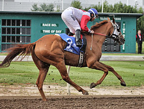 Toccetive wins the 2012 Canadian Derby.
