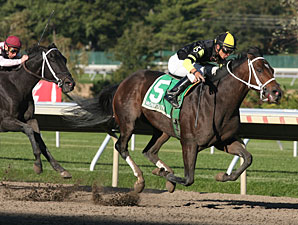 Todd Got Even wins the 2010 Eillo Stakes.