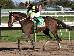Todd Got Even wins the 2010 Eillo Stakes.
