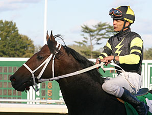 Todd Got Even wins the 2010 Eillo Stakes.