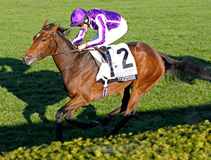 Together wins the 2011 Queen Elizabeth Challenge Cup.