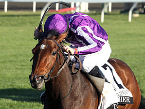 Together wins the 2011 Queen Elizabeth Challenge Cup.