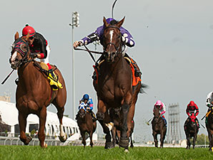 Too Many Egbert's wins the 2014 Vice Regent Stakes.