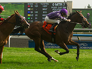 Too Many Egbert's wins the 2014 Vice Regent Stakes.
