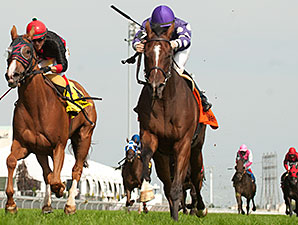 Too Many Egbert's wins the 2014 Vice Regent Stakes.