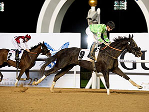 Toolain wins the 2015 Friday Handicap.