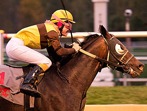 Tooth N Claw wins the 2013 Maryland Million Starter Handicap.