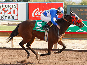 Tornado Betty wins the 2009 Arizona Juvenile Fillies.
