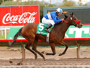 Tornado Betty wins the 2010 Arizona Oaks.