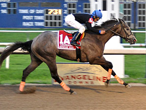 Toro Bravo wins the 2010 Shine Stakes.