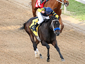 Total Bull wins the 2010 Fifth Season.