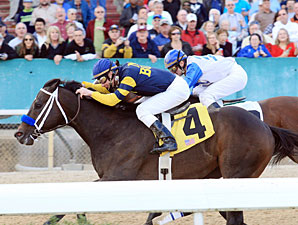 Total Bull wins the 2010 Fifth Season.