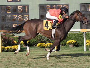 Tough Issie wins the 2011 Elge Rasberry Stakes.