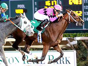 Tour Guide wins the Allen's Landing Stakes.