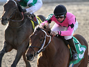 Tour Guide wins the Sugar Bowl Overnight Stakes.
