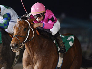 Tour Guide wins the Allen's Landing Stakes.