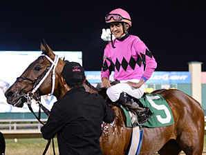 Tour Guide wins the 2013 Allen's Landing Stakes.
