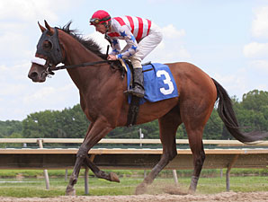 Trade Secret wins the 2011 Peppy Addy Stakes.